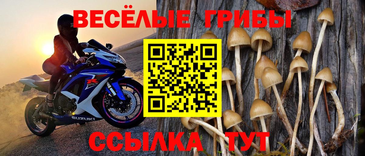 Галлюциногенные грибы Magic Shrooms Урай